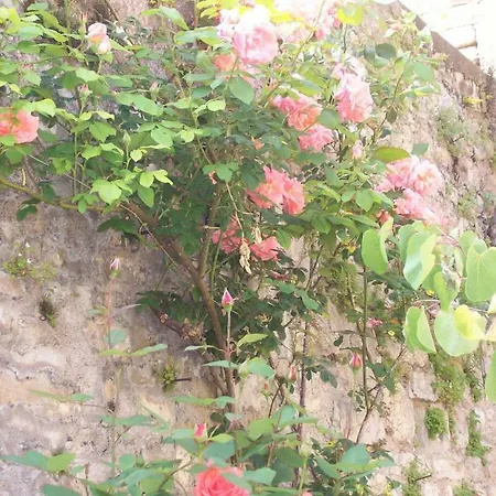 Bed & Breakfast La Reverie *