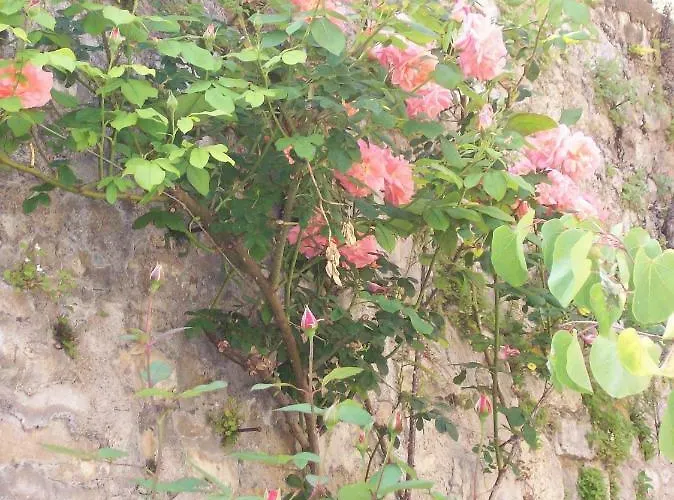 Bed & Breakfast La Reverie *